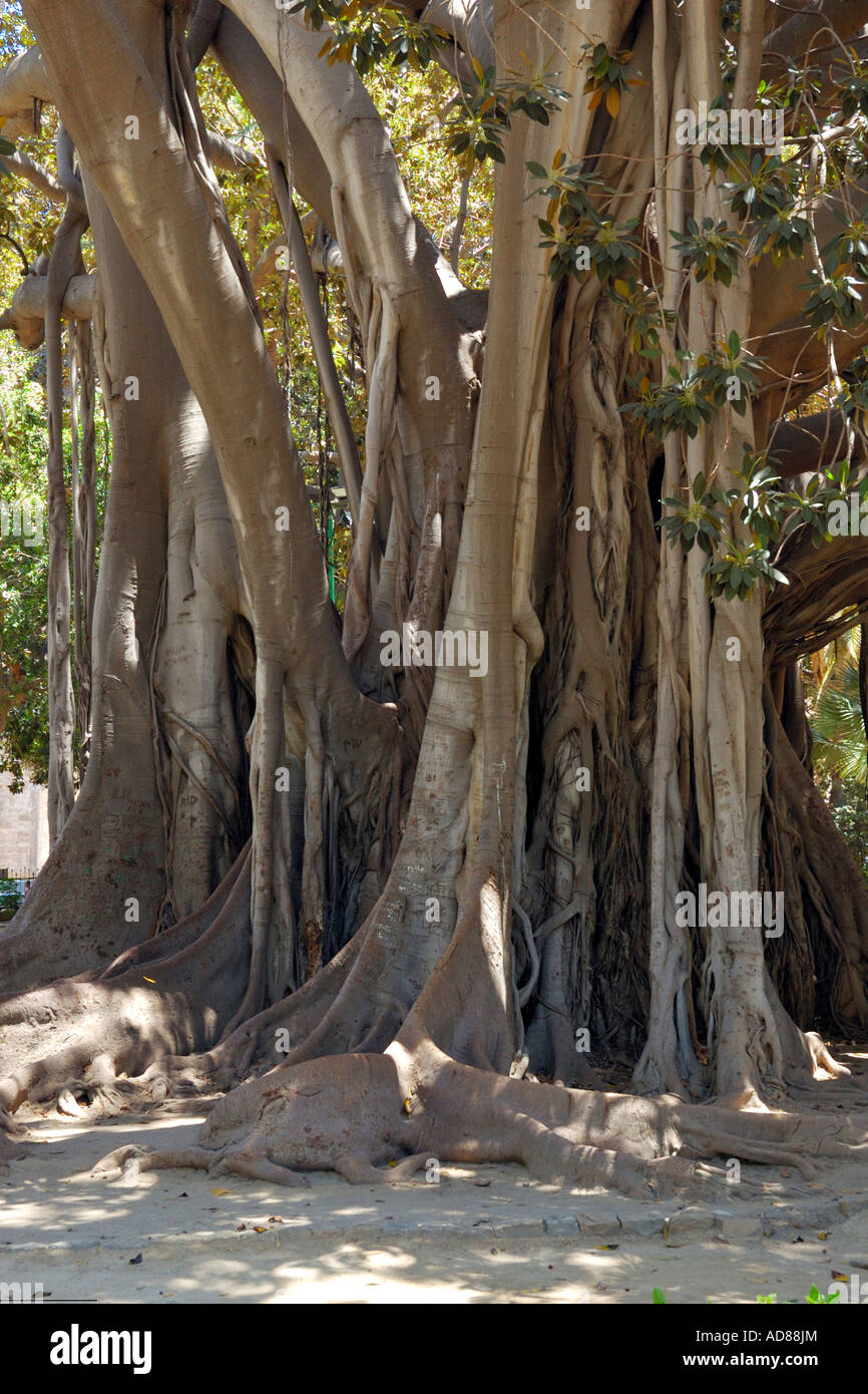 Giardino Garibaldi, Palermo Stock Photo - Alamy