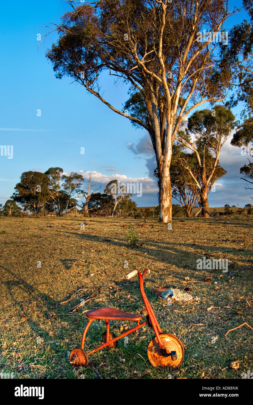 an old tricycle sits forgotten in an empty yard Stock Photo