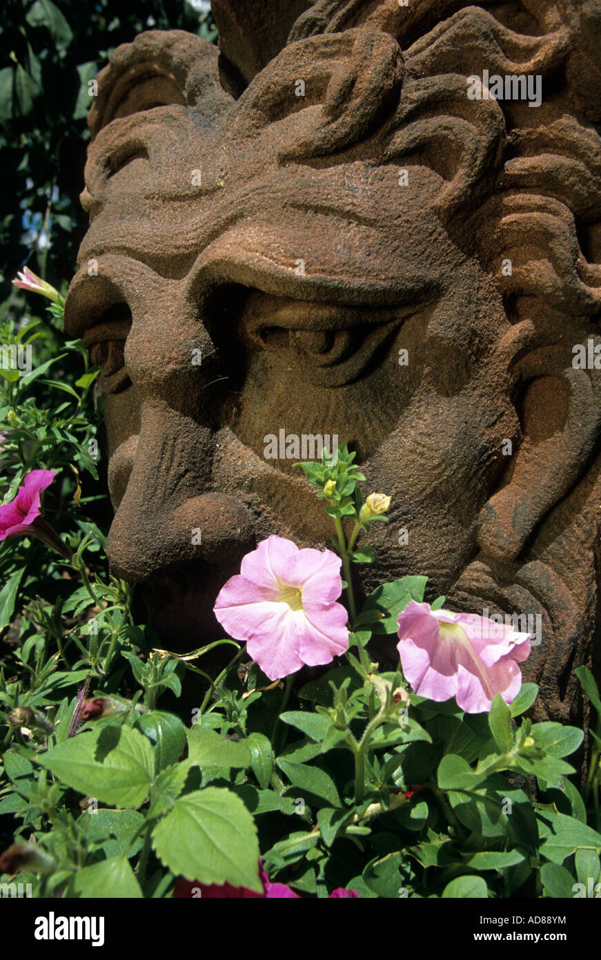 ANTIQUE KETTLE RIVER SANDSTONE GARGOYLE SURROUNDED BY PETUNIAS. MINNESOTA GARDEN IN JULY. Stock Photo