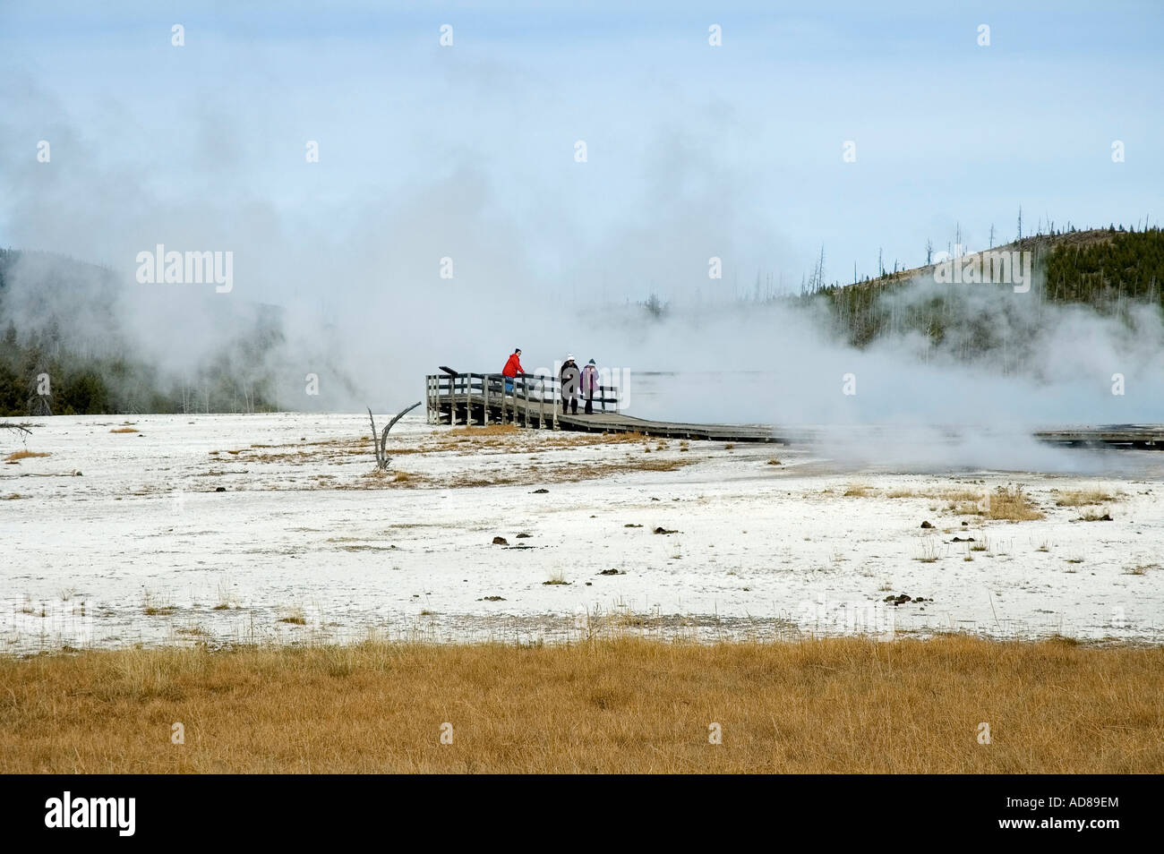 Horizontal shot of one of the many hot springs in Yellowstone National