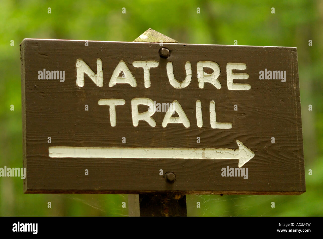 Nature trail sign with arrow Stock Photo