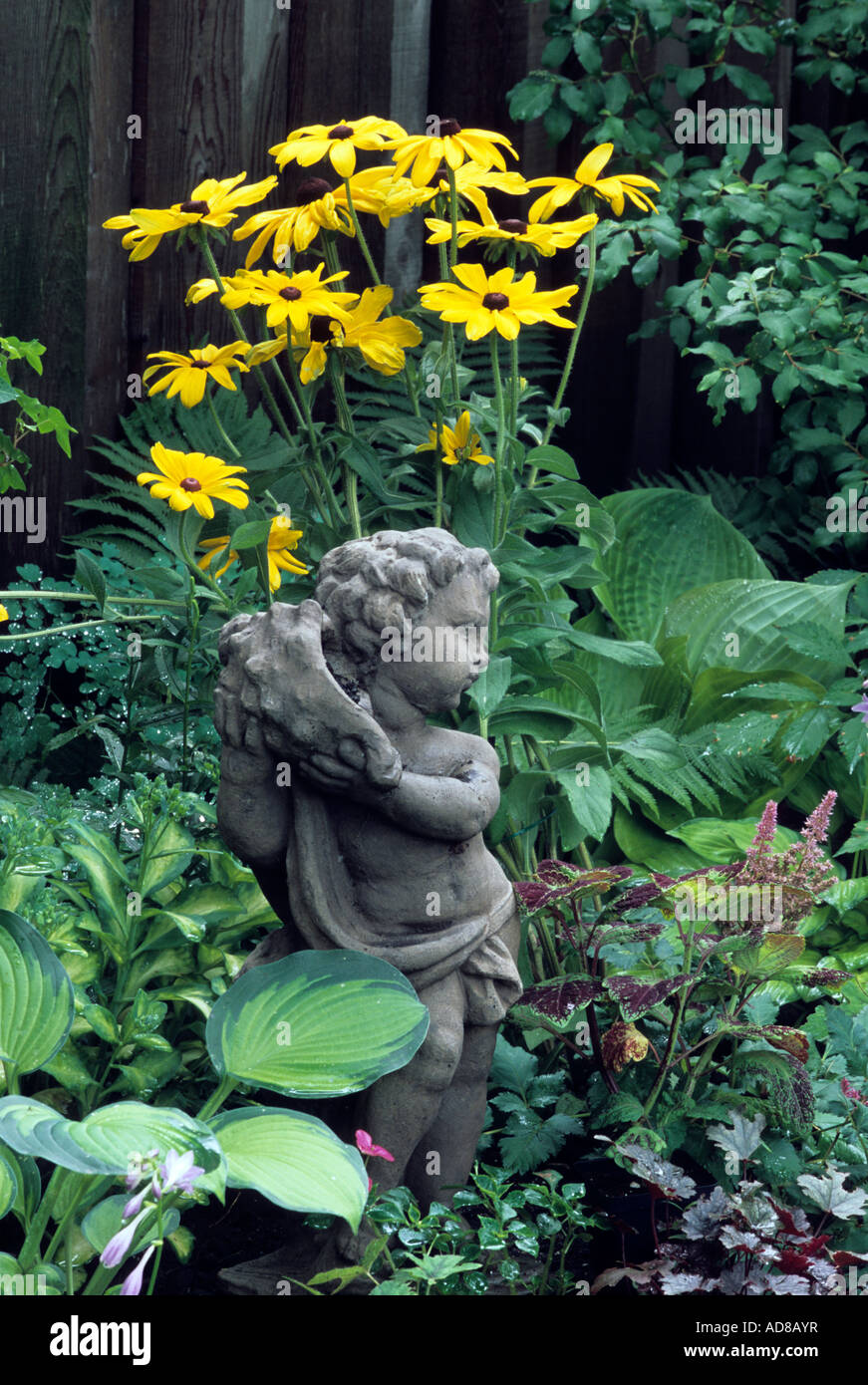 CHERUB STATUE SURROUNDED BY HOSTAS, FERNS AND INDIAN SUMMER HIRTA. MINNESOTA GARDEN IN MID-SUMMER. Stock Photo