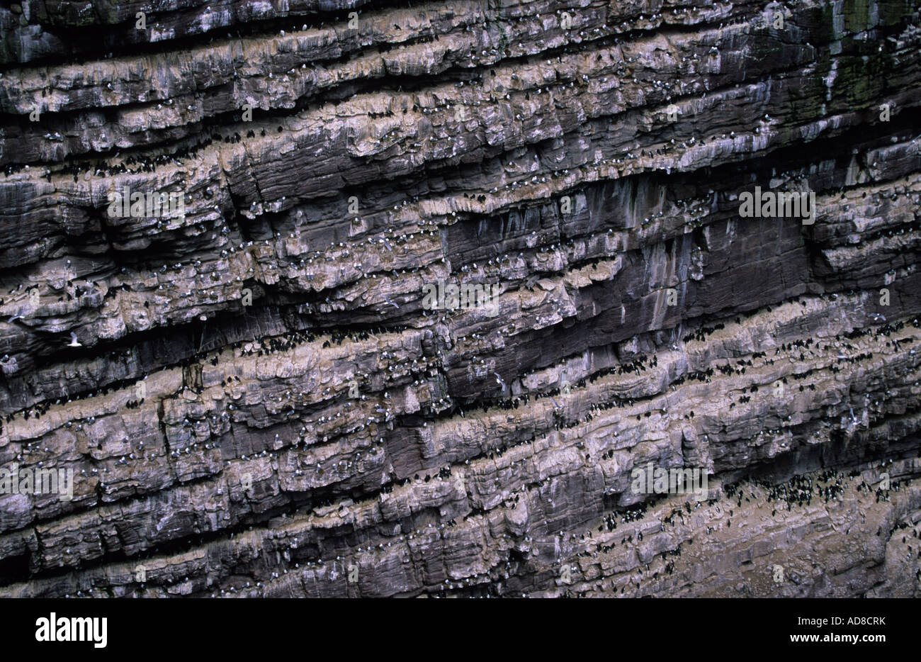 Sea stack handa island hi-res stock photography and images - Alamy