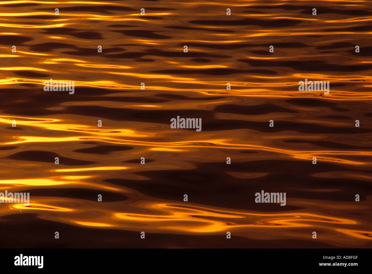 light flickering off the water Stock Photo Alamy