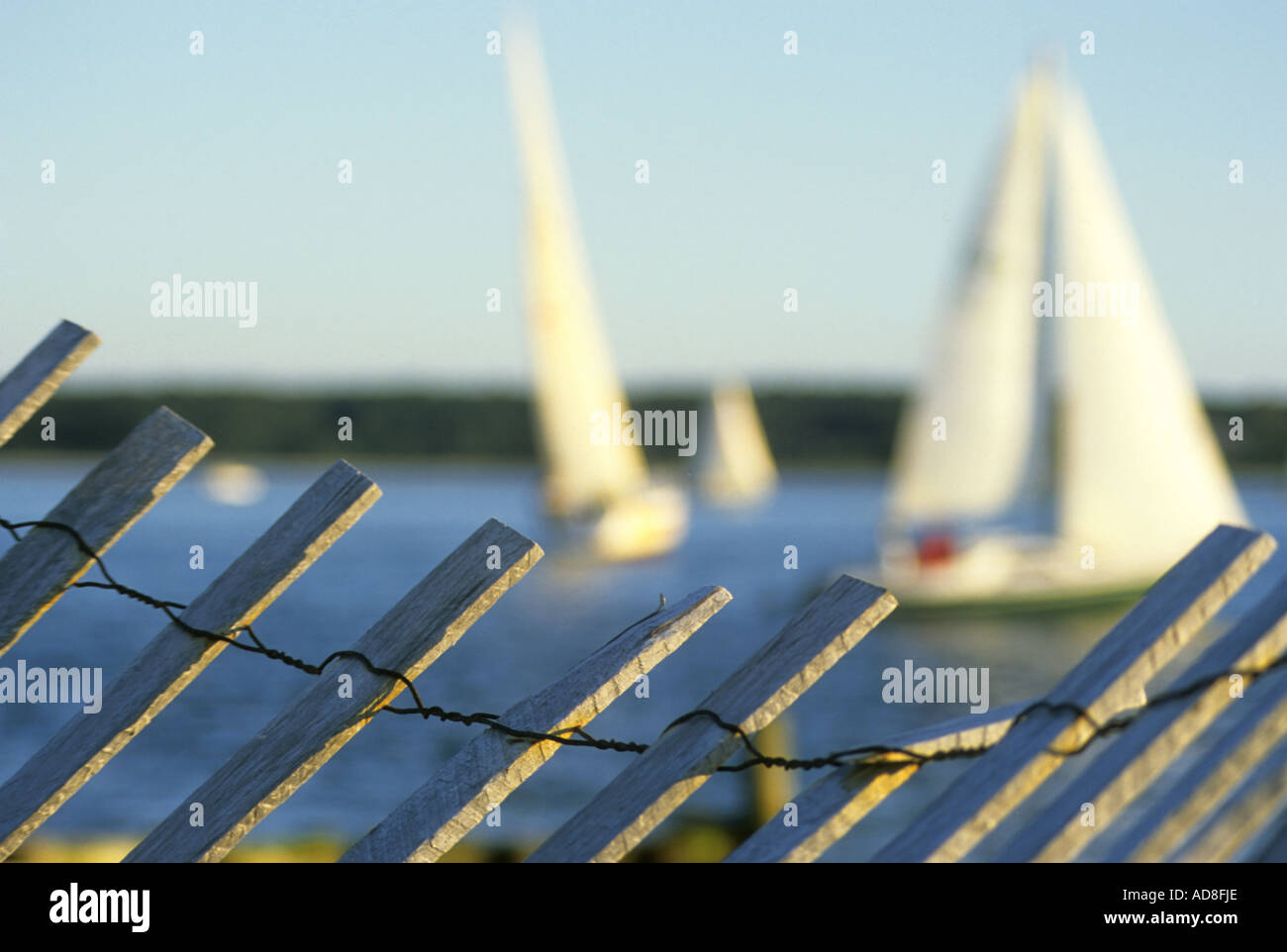 sailboats, peconic bay, long island, new york Stock Photo Alamy