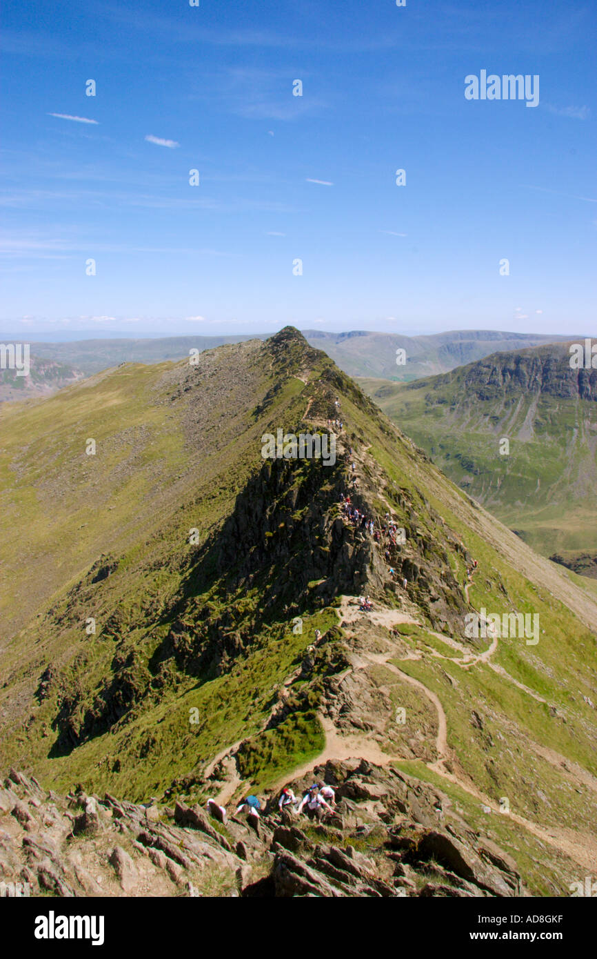 Walkers on Striding Edge Lake District UK Stock Photo Alamy