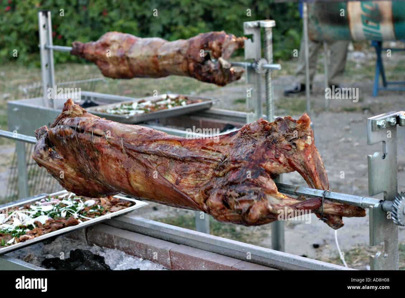 Lamb spit top