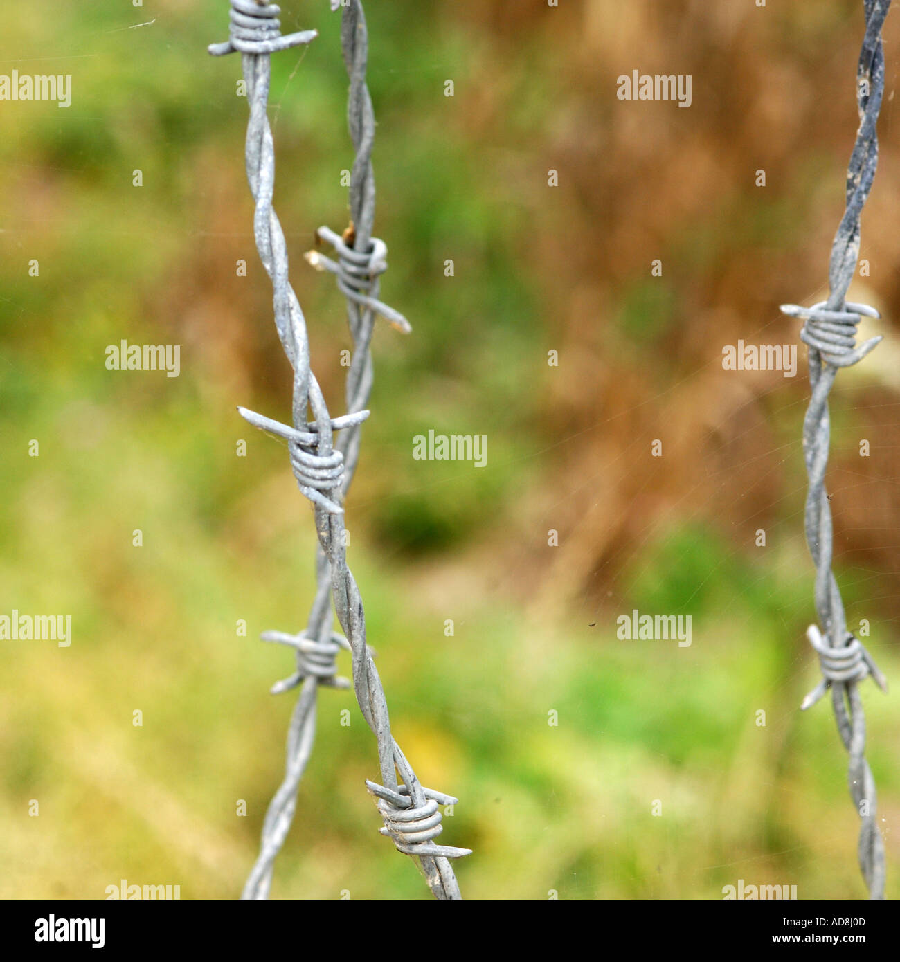 Farm Fence in barbed wire Stock Photo