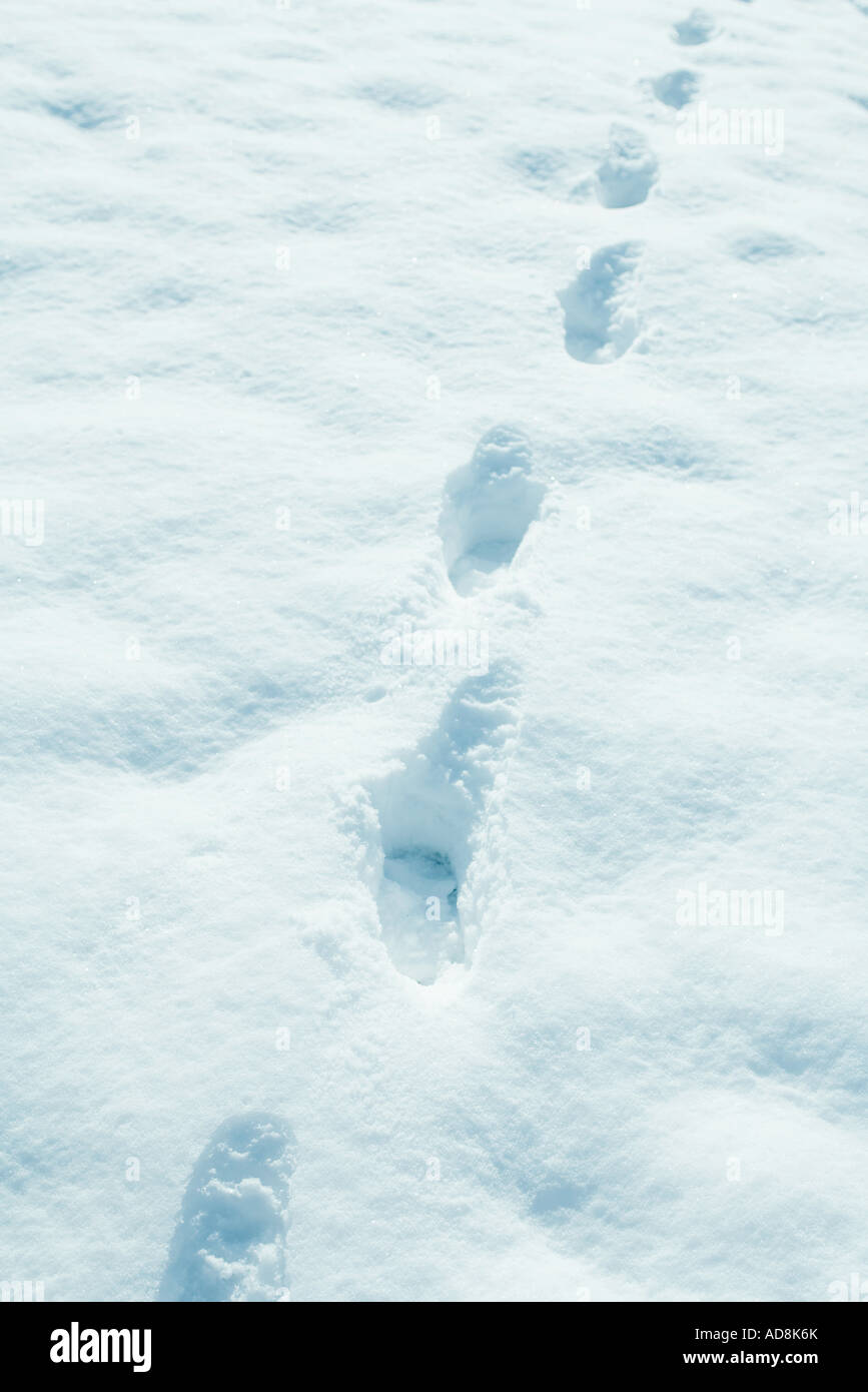 Footprints in snow Stock Photo Alamy