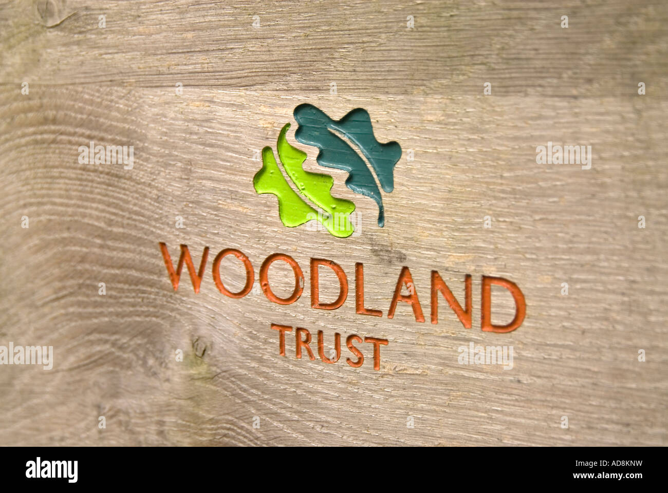 Woodland trust hires stock photography and images Alamy