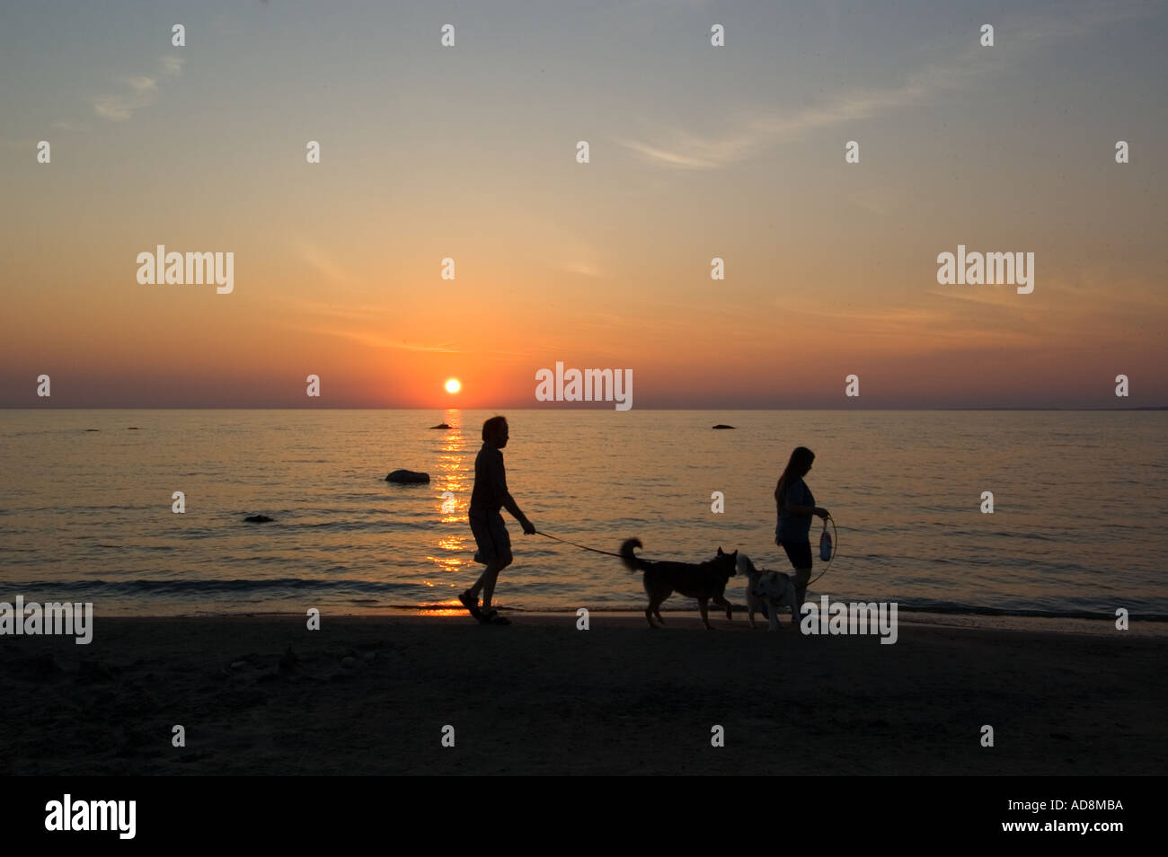 Couple walking dogs on beach at sunset Stock Photo - Alamy