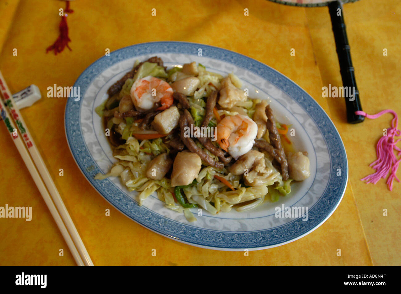 Chinese chop suey Nano Calvo VWPics com Stock Photo - Alamy