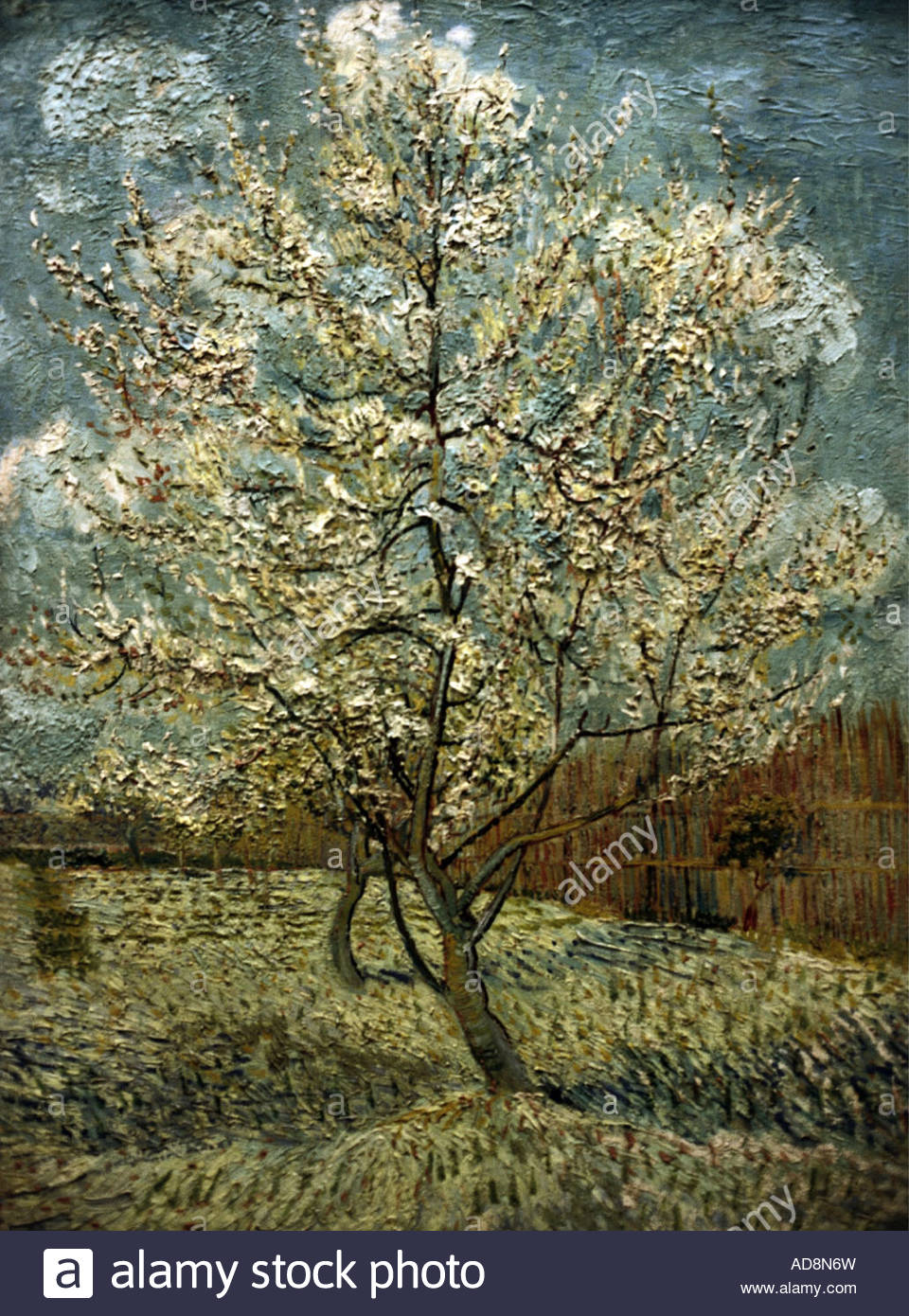 Stylization under the picture of Vincent Van Gogh 29 Stylization under the picture of Vincent Van Gogh 25