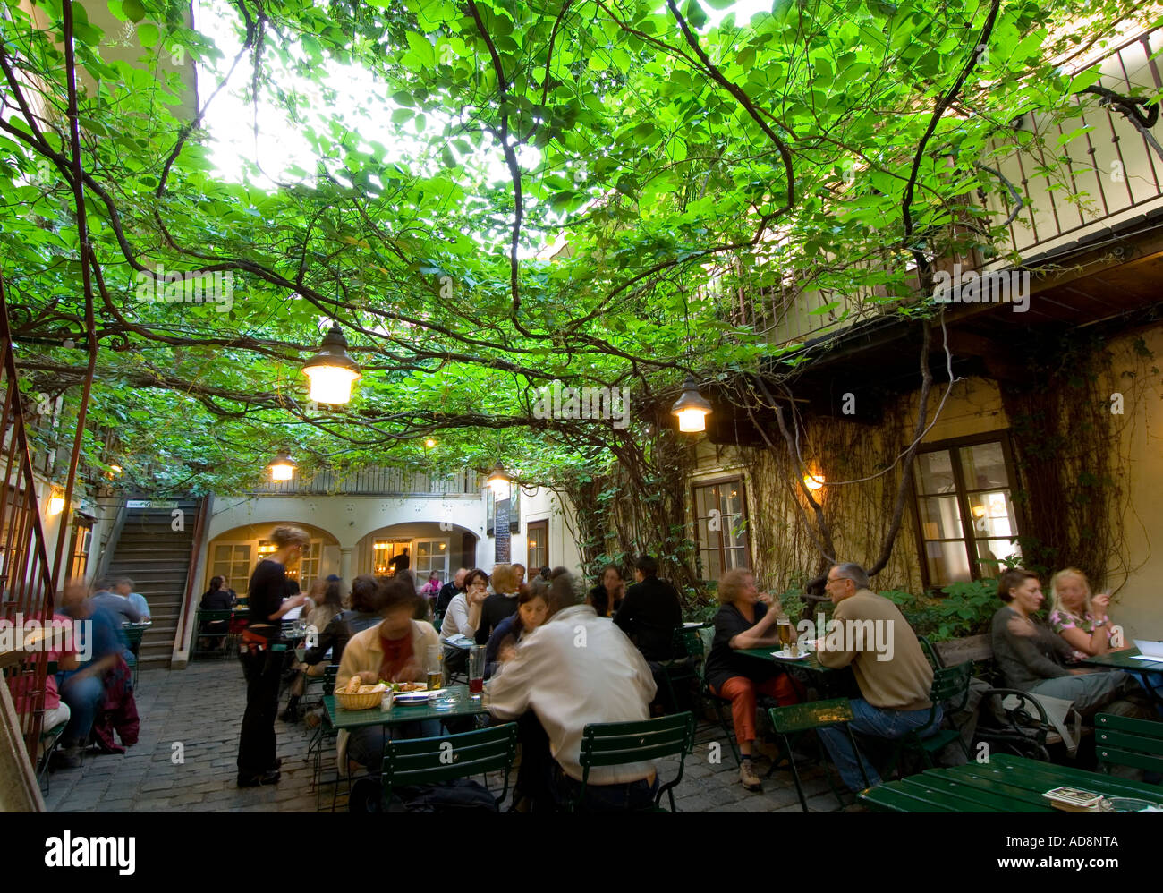 Vienna, Spittelberg, restaurant Amerlingbeisl Stock Photo