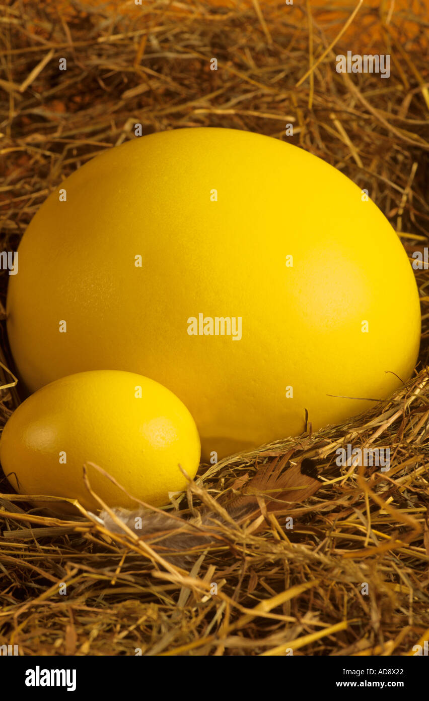 Large nest egg Stock Photo Alamy