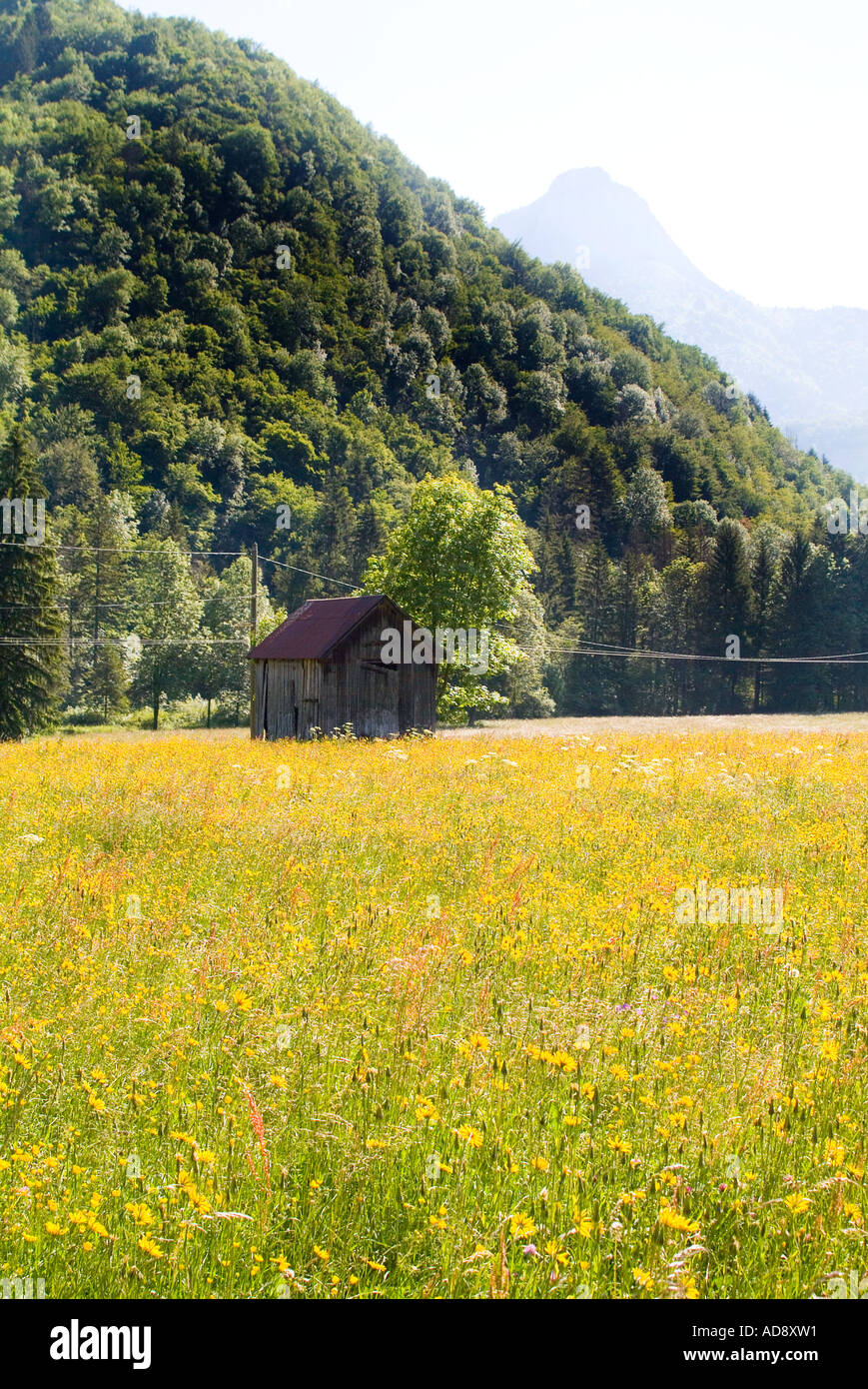 Landscape with wooden hut Bauges National Park Savoie France Stock Photo