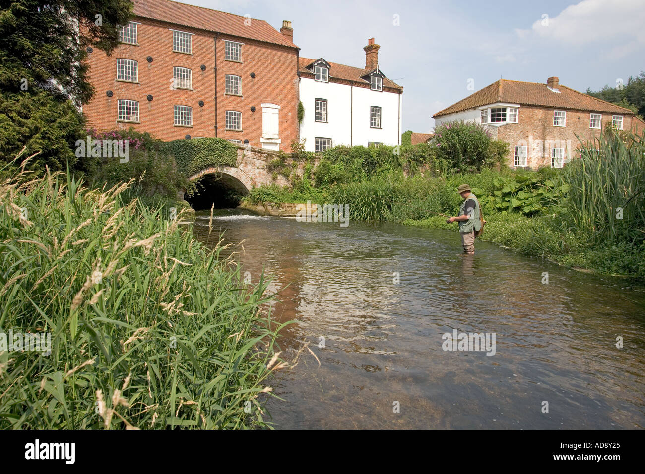 Bintree Mill River Wensum Norfolk UK Trout Fishing Stock Photo: 4356900 - Alamy