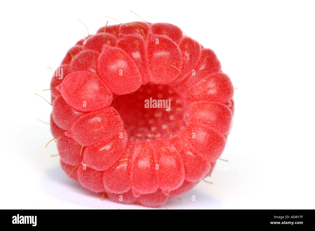 Raspberry Reference Photo Raspberry isolated on white background Stock Photo - Alamy