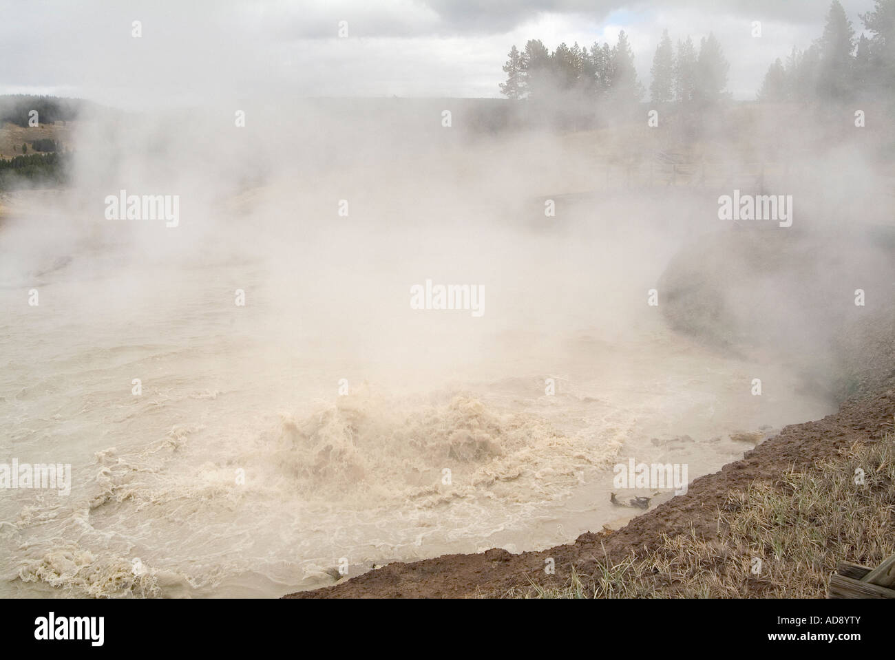Mud Volcano area. Yellowstone National Park. Wyoming State. USA Stock