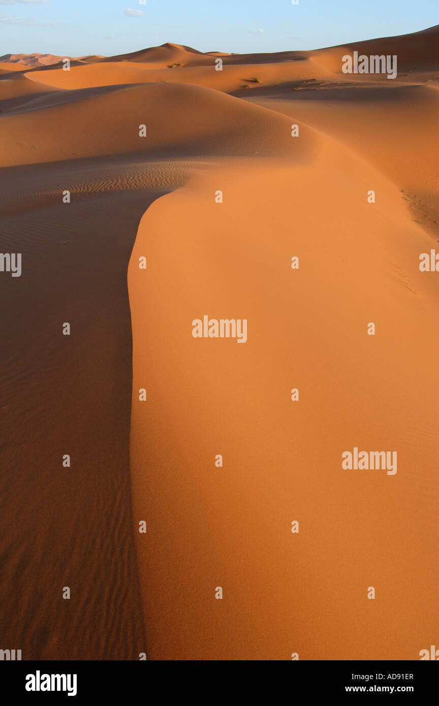Sand dunes of Erg Chebbi in the Sahara Desert, Morocco Stock Photo - Alamy