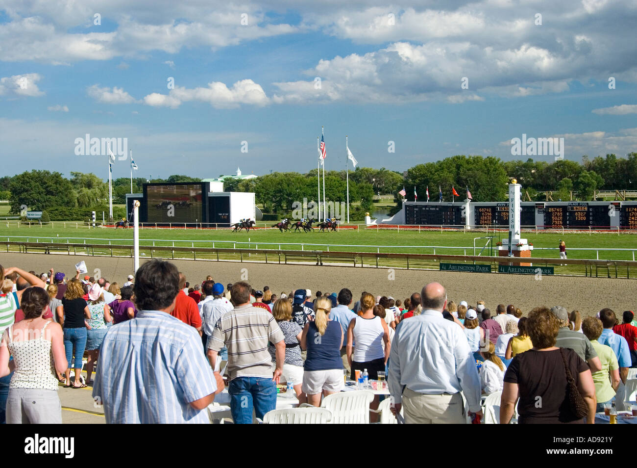 Turf Race Crowd Cheering at Finish Line Stock Photo