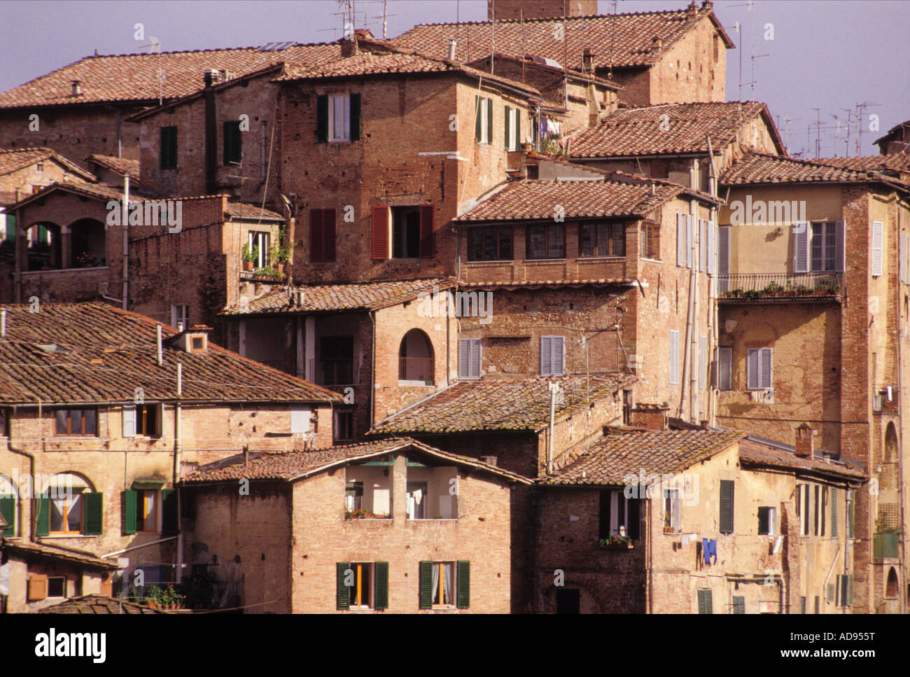 Tuscan houses Sienna Tuscany Italy Stock Photo