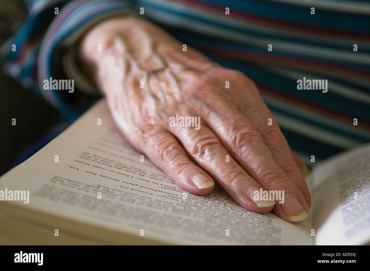 Elderly lady reading Stock Photo