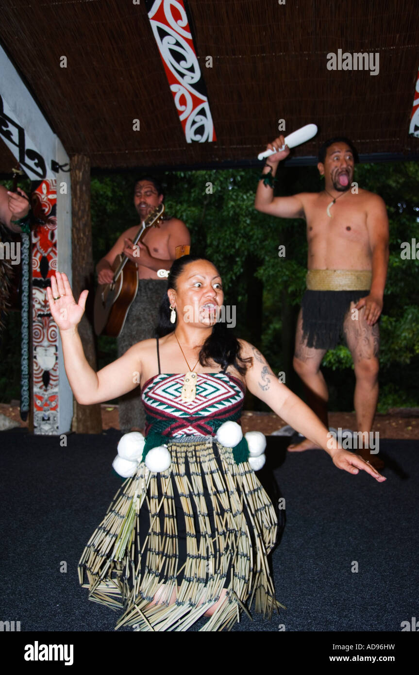 Maori cultural experience type of maori dancing hi-res stock ...