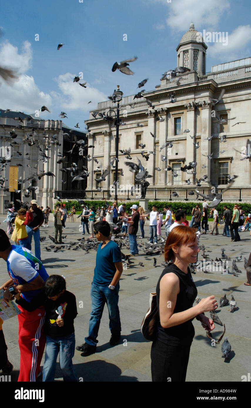 Scattering pigeons and tourists outside the National Gallery in Trafalgar Square London England Stock Photo