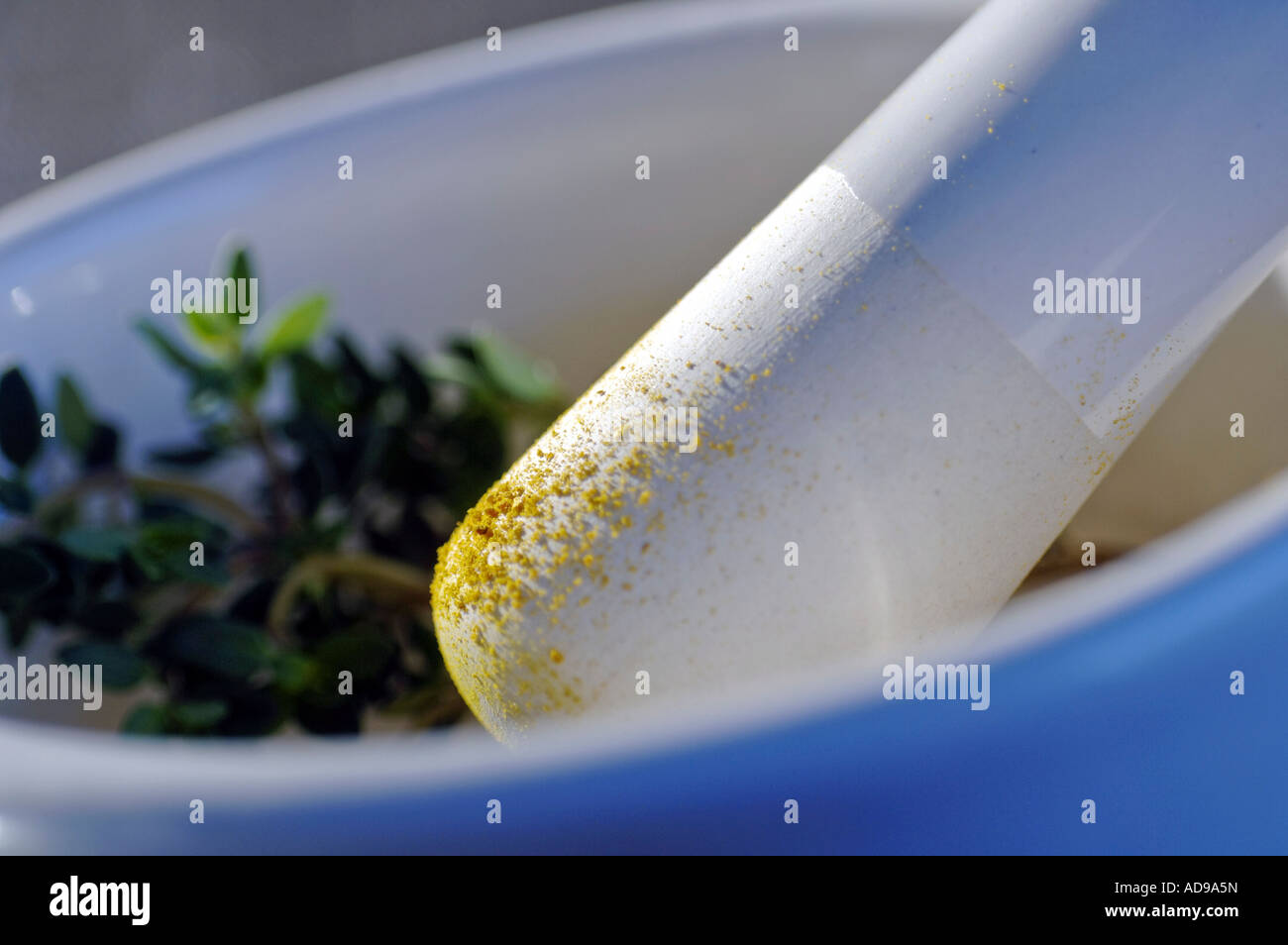 Grinding herbs and spices in a mortar and pestle Stock Photo Alamy