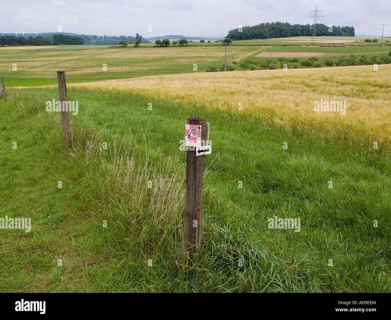 symbol for the pilgrim road Way of Saint Boniface at the wayside Stock Photo