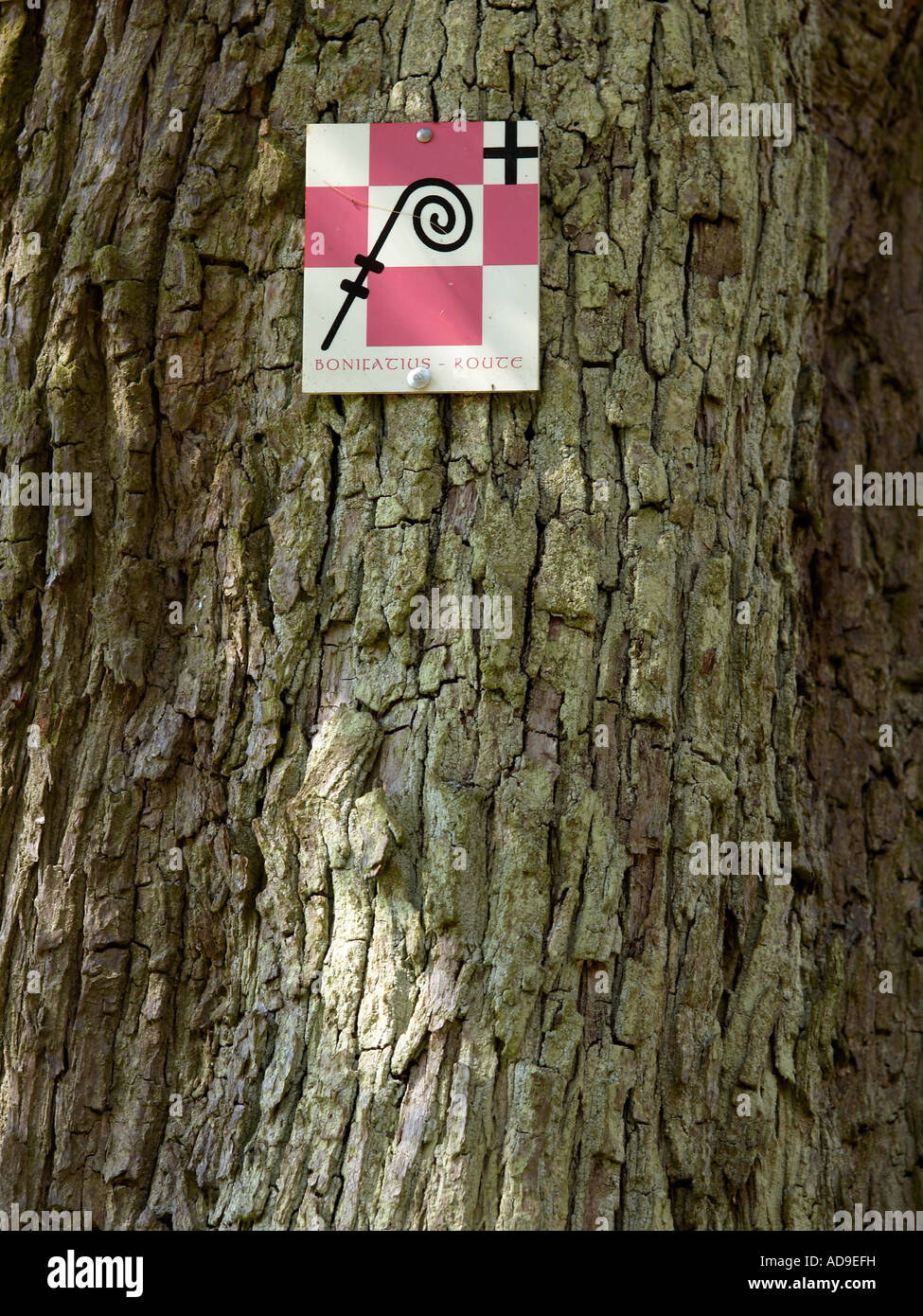 symbol for the pilgrim road Way of Saint Boniface at the wayside in the forest Stock Photo