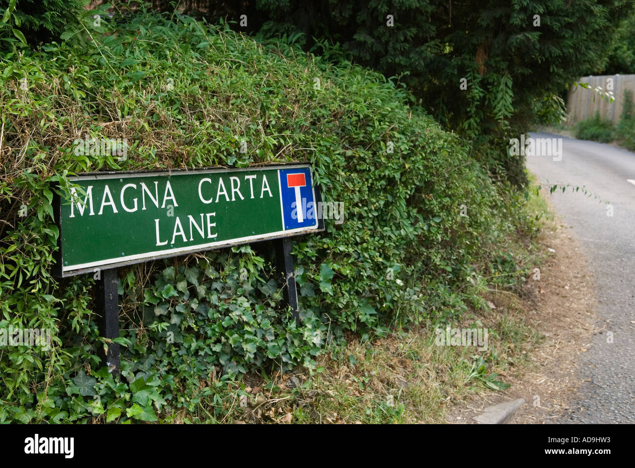 Magna carta lane hires stock photography and images Alamy