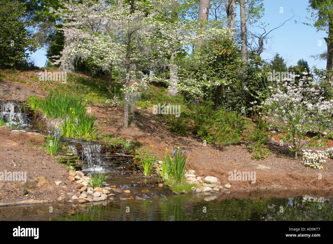 Spring at Edisto Memorial Gardens in Orangeburg South Carolina Stock