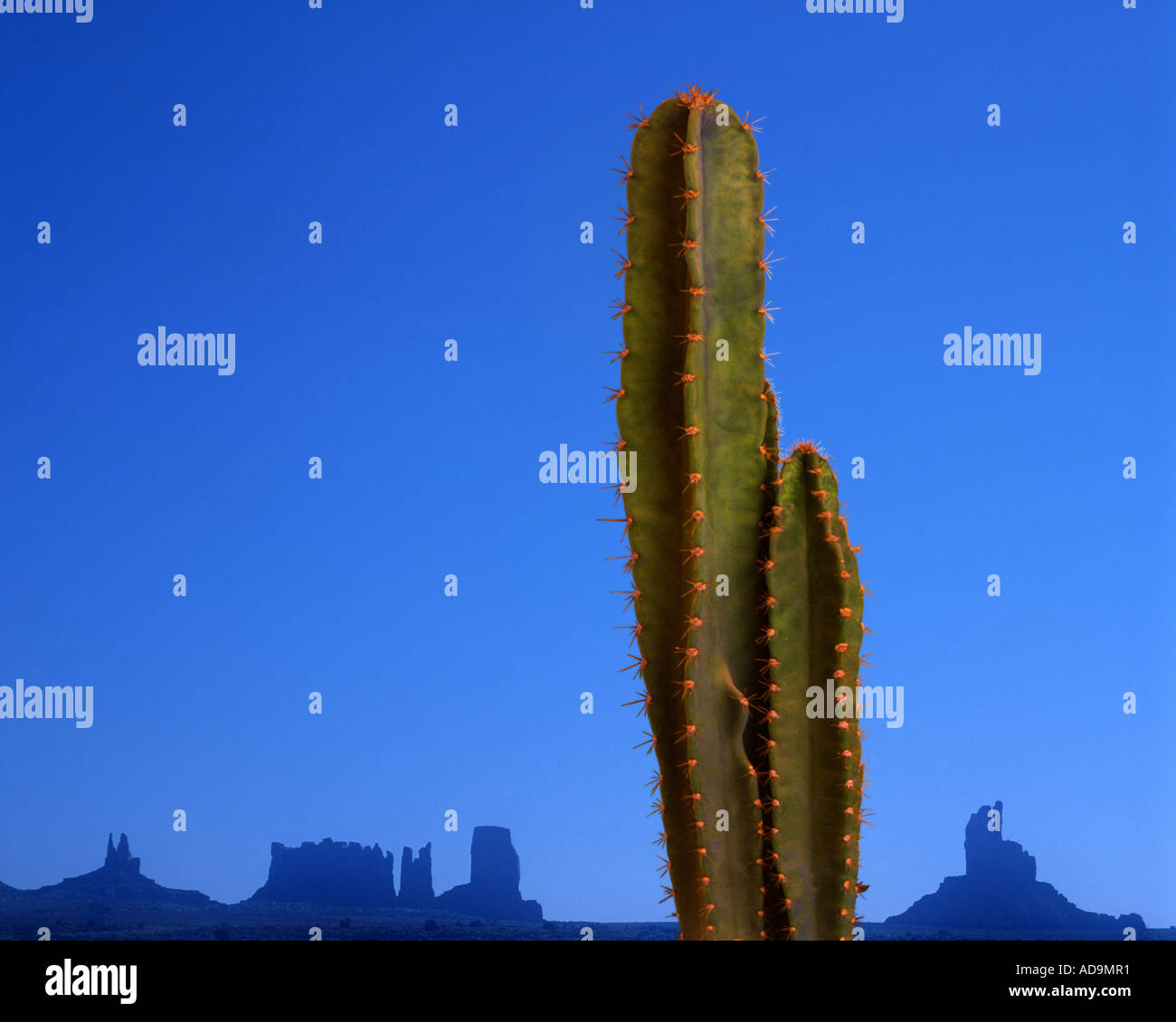 USA - ARIZONA: Monument Valley Stock Photo