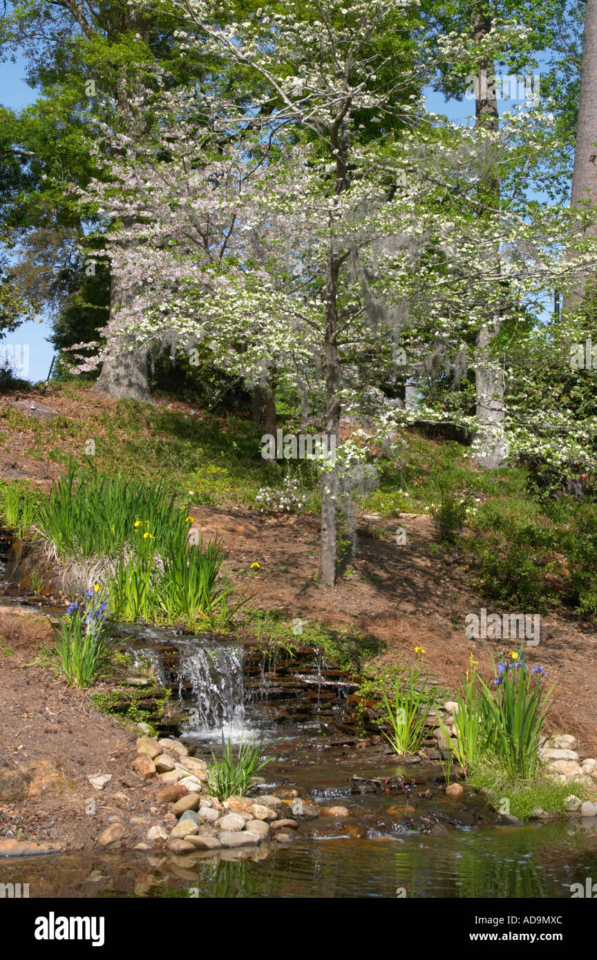 Spring at Edisto Memorial Gardens in Orangeburg South Carolina Stock