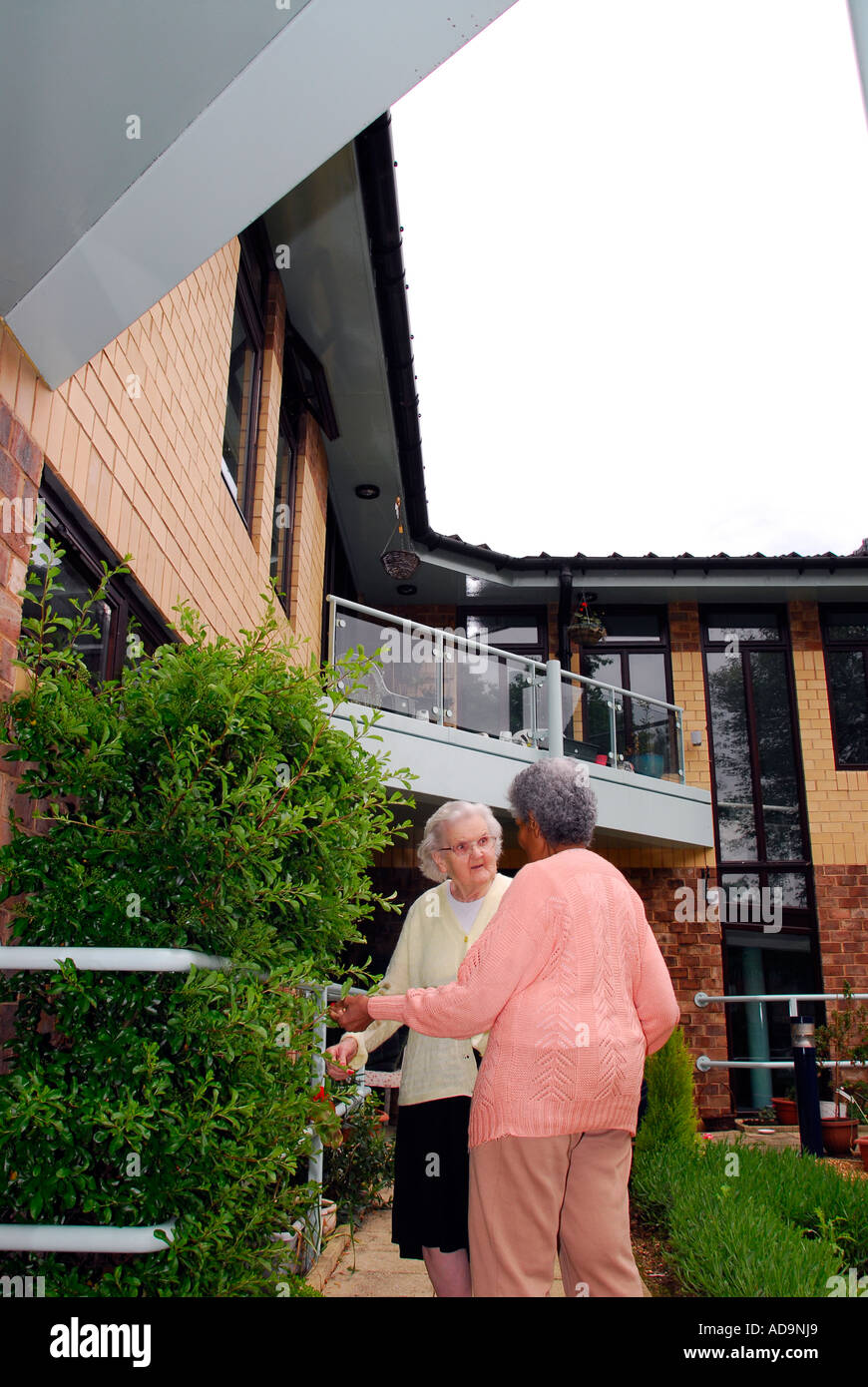 Two elderly residents of care home for dementia sufferers talking in