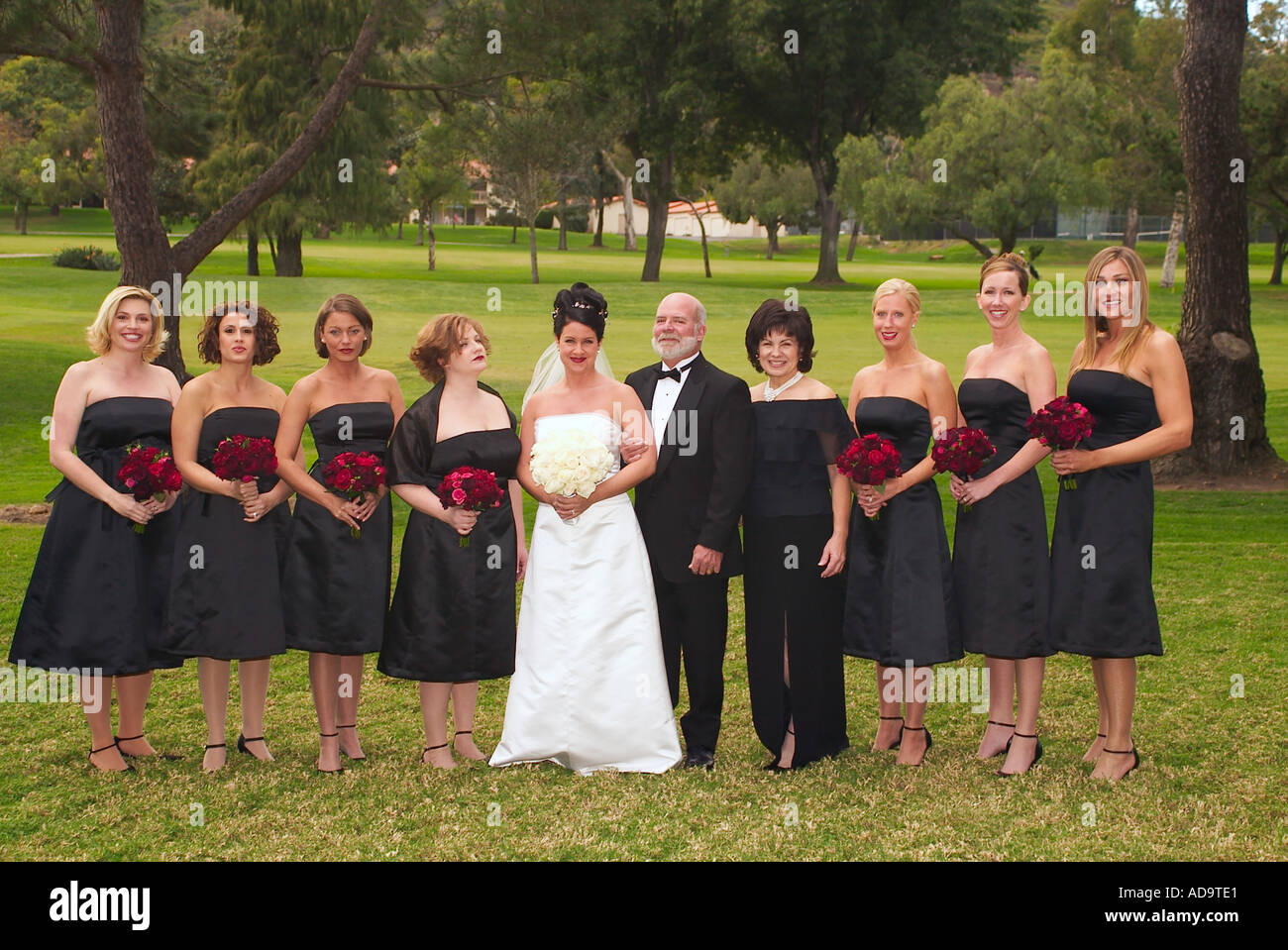 28,000+ Bridesmaid Stock Photos, Pictures & Royalty-Free Images - iStock |  Bridesmaid angry, Bridesmaid dresses, Bridesmaid dress