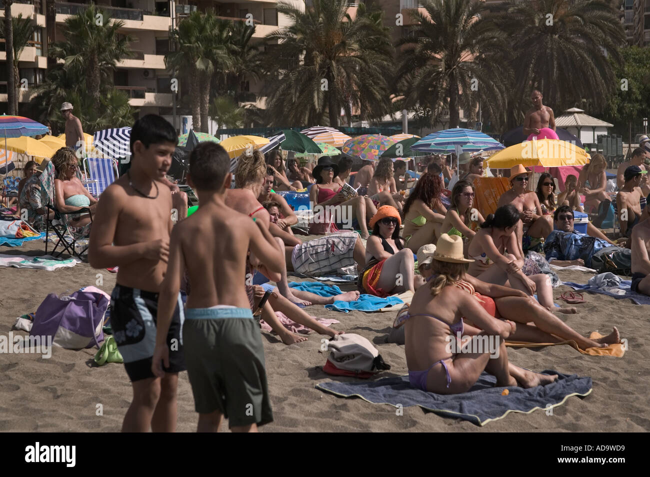 CROWDED BEACH SCENE Stock Photo Alamy