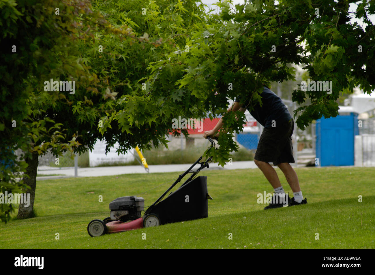 LAWN CUTTING 2A Stock Photo - Alamy