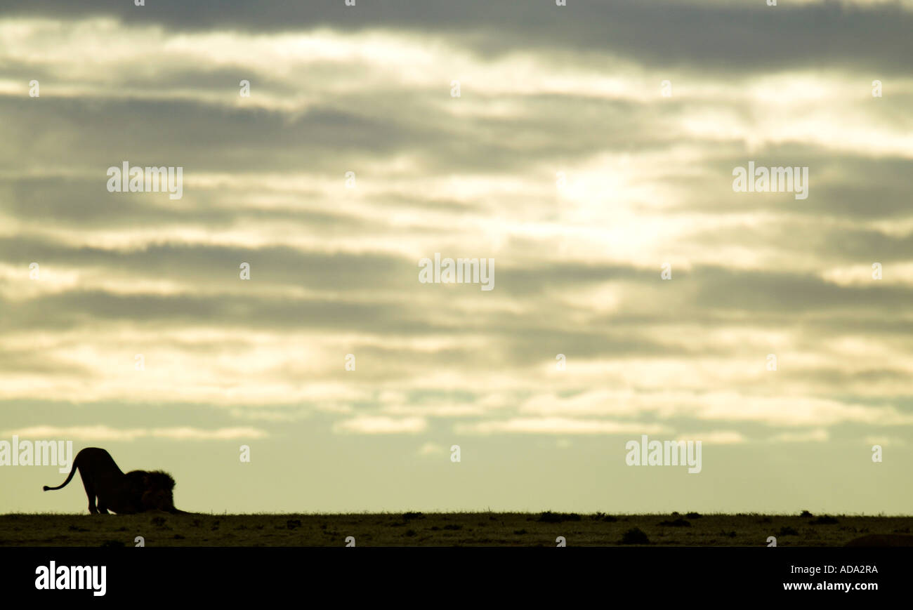 Hunters hill silhouette hi-res stock photography and images - Alamy