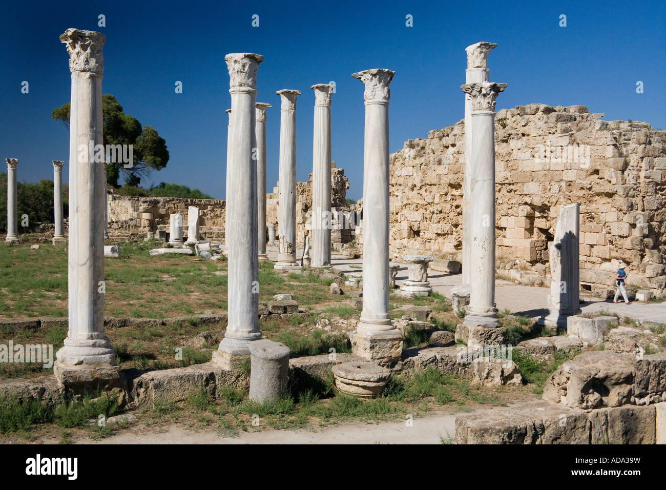 The Ruins of Salimis in Northern Turkish Cyprus These ruins date back to the 11th Century BC Stock Photo