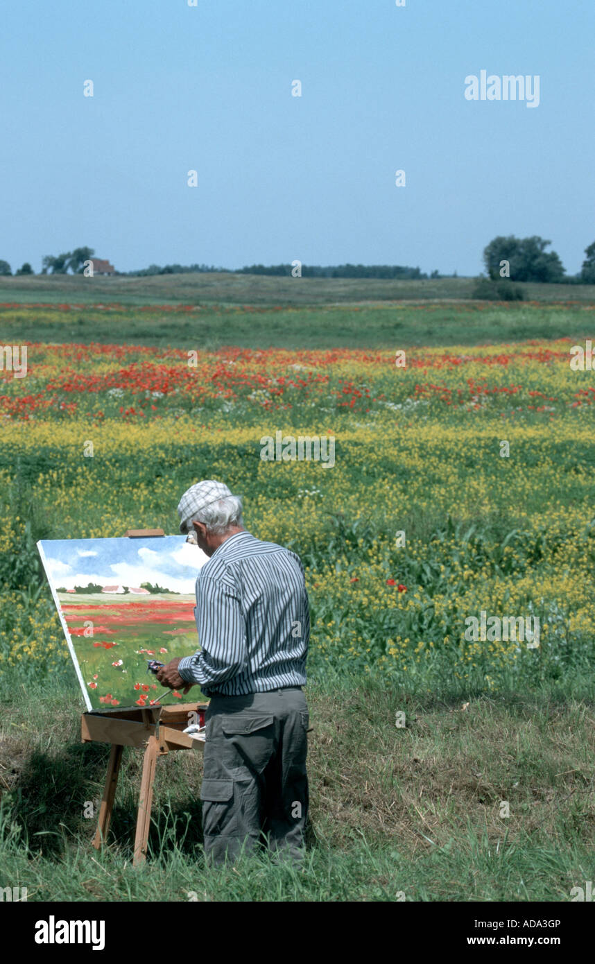 painter roadsides painting colourful flower meadow, Poland Stock Photo