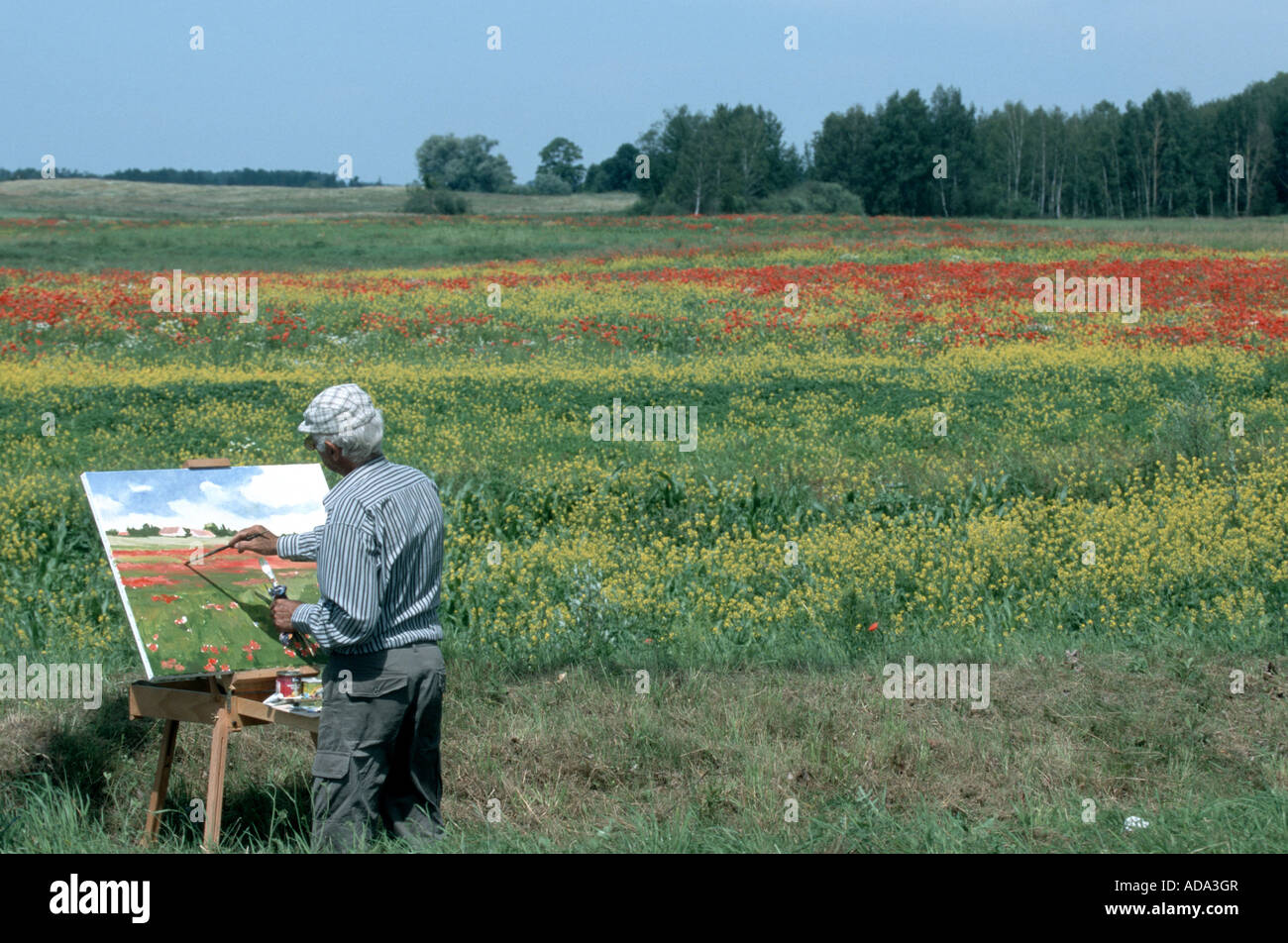 painter roadsides painting colourful flower meadow, Poland Stock Photo