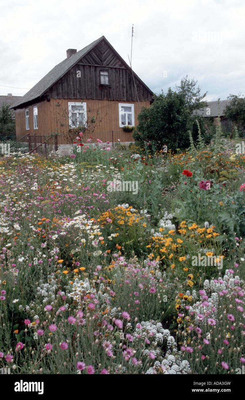 colourful flower garden, Poland Stock Photo