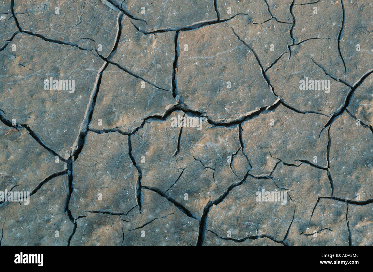 dry cracks in the ground, Germany, Lower Saxony Stock Photo