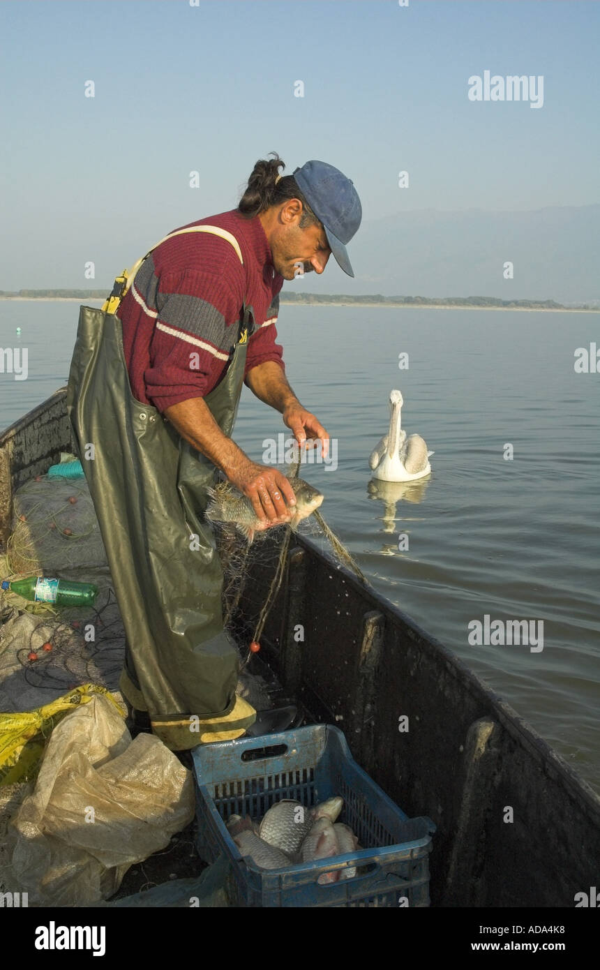Fish swimming boat side hi-res stock photography and images - Alamy
