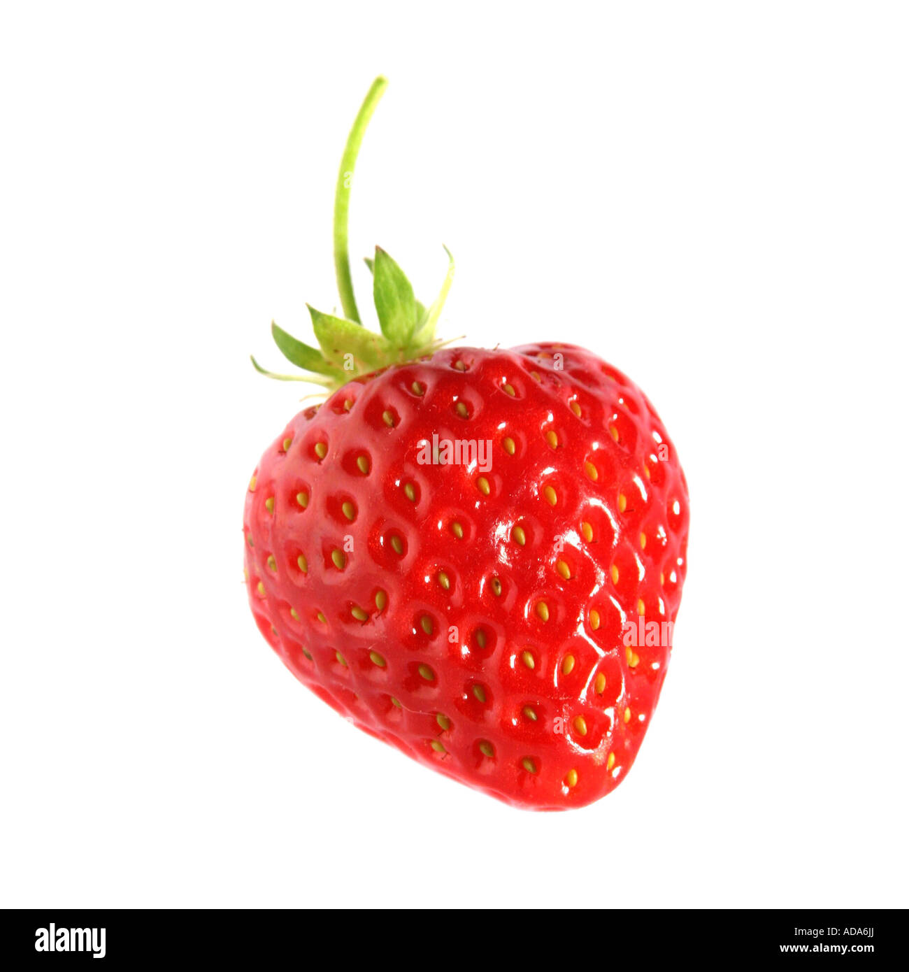 hybrid strawberry, garden strawberry (Fragaria x ananassa, Fragaria ananassa), fruit Stock Photo
