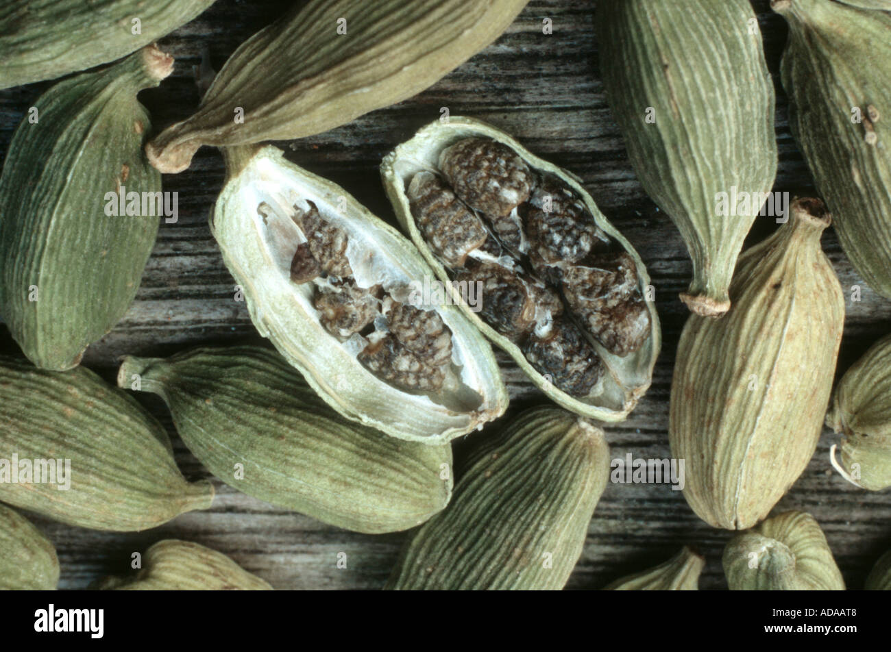 true cardamom (Elettaria cardamomum, Amomum cardamon), ripe fruits with seeds Stock Photo