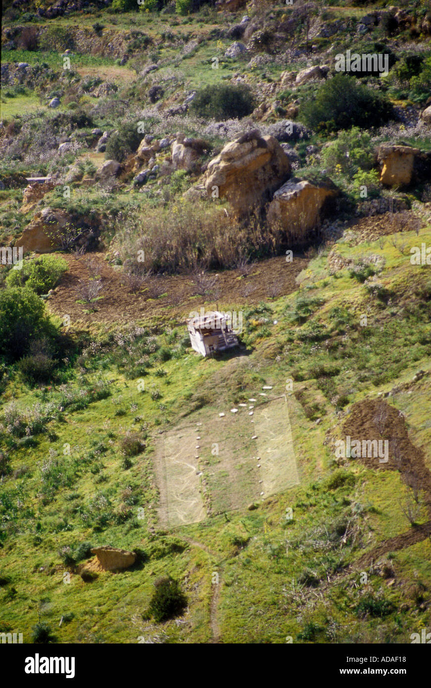 Shooting area with caged birds kept to attract wild songbirds for sport shooting Malta Stock Photo